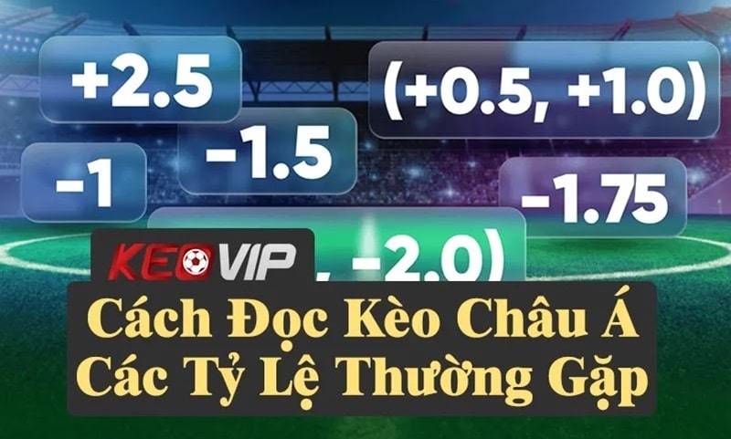 Cách đọc Kèo Châu Á chính xác và các tỷ lệ chấp thường gặp